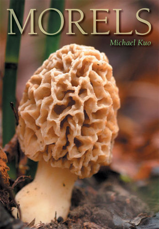 morels