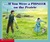 If You Were A Pioneer On The Prairie (If You Were) by Anne Kamma