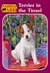 Terrier in the Tinsel (Animal Ark: Holiday Special, #7)
