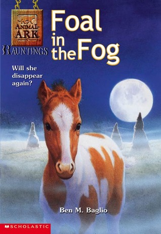 foal-in-the-fog