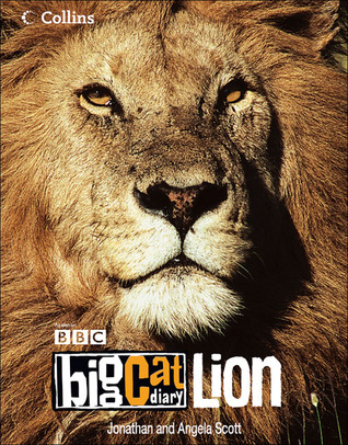 big-cat-diary-lion