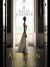 The American Heiress by Daisy Goodwin