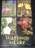 Wildflowers in Color by Arthur Stupka