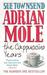 Adrian Mole The Cappuccino Years (Adrian Mole, #5) by Sue Townsend