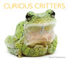 Curious Critters