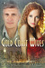 Gold Coast Wives by Bernadette Walsh