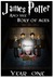 James Potter and The Bolt of Ages (James Potter Project #1) by L. Wilt