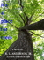 It's a Place for Trees (Will Nickerson Mysteries) by R.L. Anderson