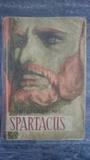 Spartacus cover