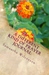 A Different Kind of Prayer Journal by Samantha Wilcoxson