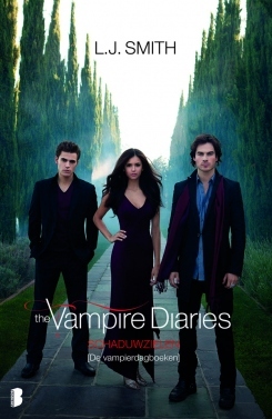 Schaduwzielen (The Vampire Diaries: The Return #2)