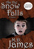 As the Snow Falls by M.D. James