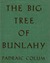 The Big Tree Of Bunlahy Stories Of My Own Countryside by Padraic Colum