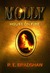 Molly House on Fire by R.E. Bradshaw