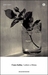Lettere a Milena by Franz Kafka