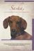 Sasha Extraordinary Dachshund by C.J. Adams