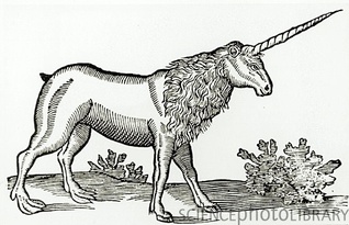 the-unicorn-crisis