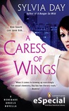 A Caress of Wings (Renegade Angels, #1.5)