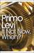 If Not Now, When? by Primo Levi