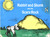 Rabbit and Skunk and the Scary Rock by Carla Stevens