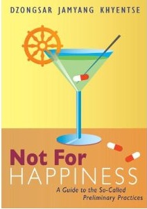 not-for-happiness-a-guide-to-the-so-called-preliminary-practices