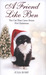 A Friend Like Ben the Cat That Came Home for Christmas. by Julia Romp