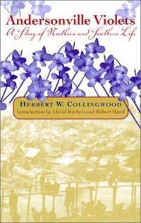 Andersonville Violets: A Story of Northern and Southern Life Descargar Kindle ebook italiano