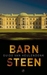 Barnsteen by Guido van Heulendonk