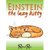Einstein The Lazy Kitty by Renae Rae