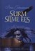 Surm silme ees (Eve Duncan, #4.5) by Iris Johansen