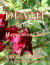 Death at the Happiness Club (Pitkirtly Mysteries #4) by Cecilia Peartree