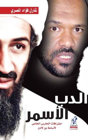 الدب الأسمر