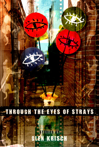 through-the-eyes-of-strays