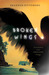 Broken Wings (Angel Eyes, #2) by Shannon Dittemore