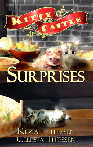 surprises-kitty-castle-2