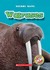 Walruses by Colleen Sexton