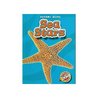 Sea Stars cover