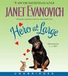 Hero at Large cover