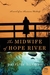 The Midwife of Hope River by Patricia Harman