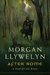 After Rome A Novel of Celtic Britain by Morgan Llywelyn