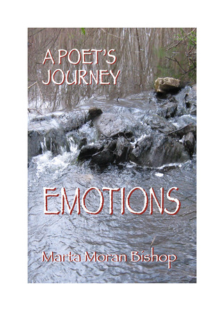 a-poet-s-journey-emotions