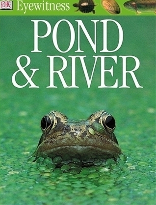 pond-and-river