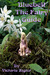Bluebell The Fairy Guide by Victoria Zigler