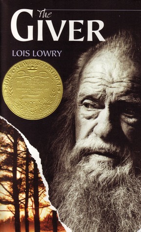 Image result for the giver book