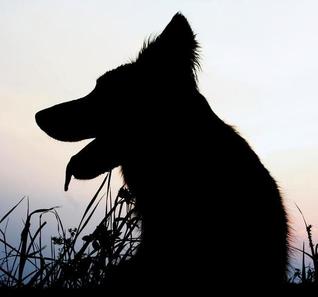 raw-dogs-and-other-metaphors