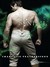 A Very Sinful Valentine (Addicted, #2.2) by Charlotte Featherstone