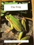 The Frog by Peter Garland