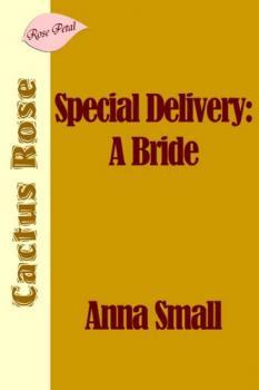 Special Delivery: A Bride