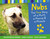 Nubs The True Story of a Mutt, a Marine & a Miracle by Brian Dennis