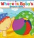 Where Is Baby's Beach Ball? A Lift-the-Flap Book by Karen Katz